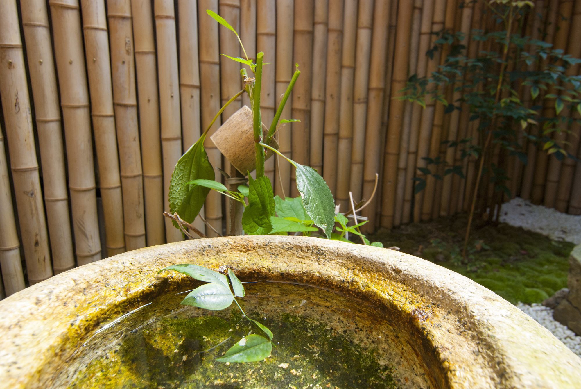 Kyo No Yado Bamboo Town Villa Kyoto Exteriör bild