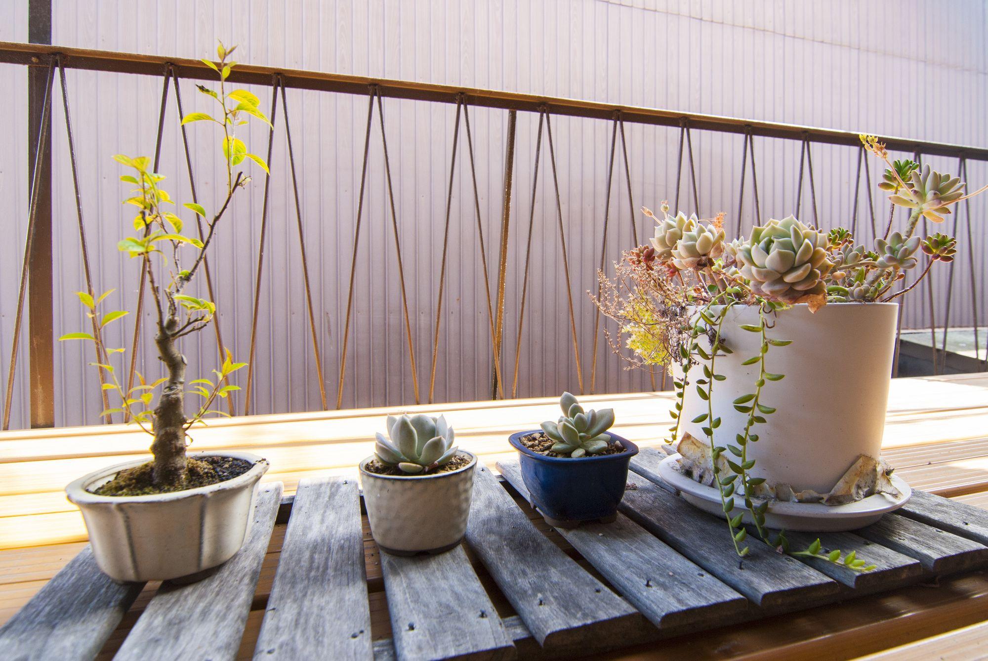 Kyo No Yado Bamboo Town Villa Kyoto Exteriör bild